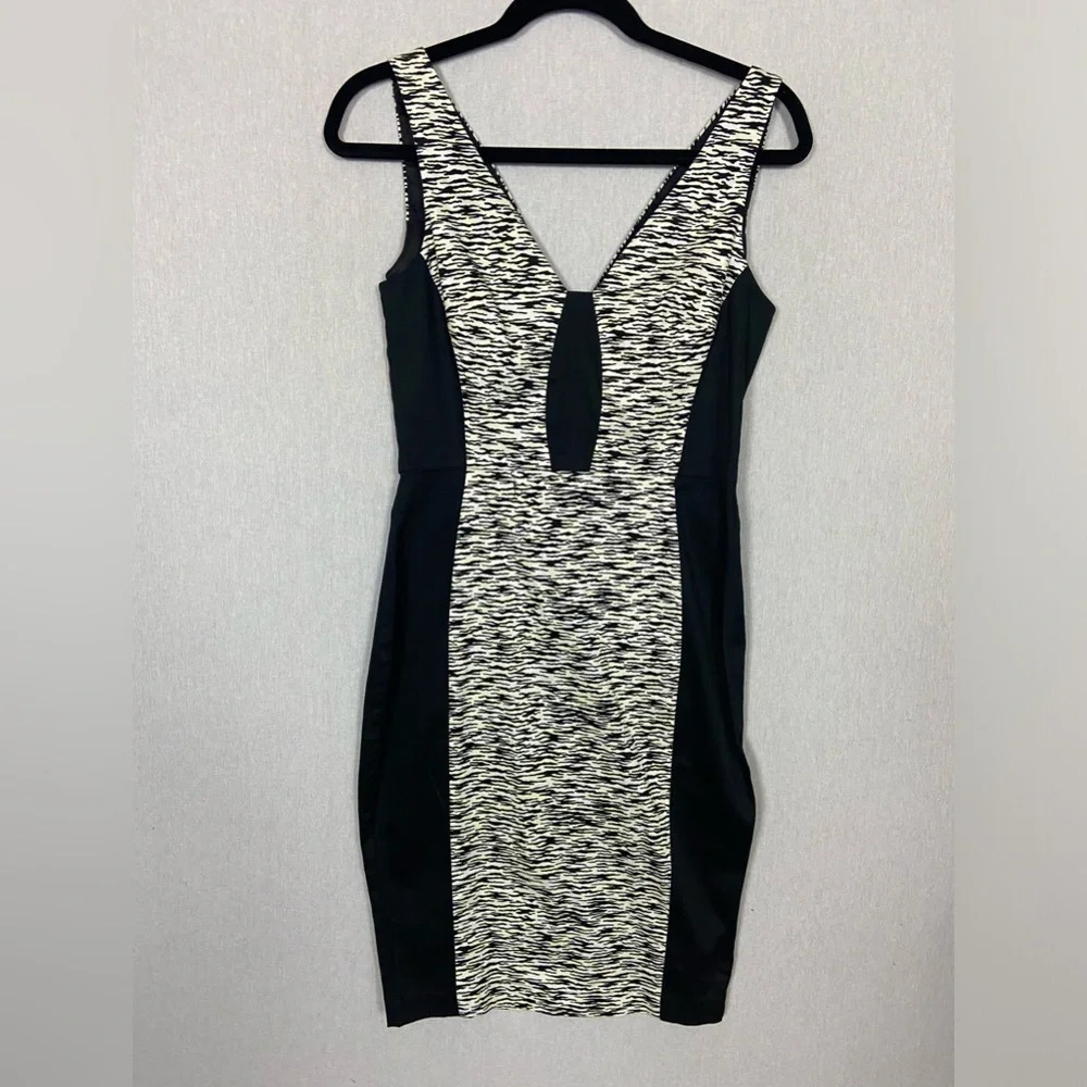 FRENCH CONNECTION SAHARA WAVE ZEBRA DRESS SZ 6